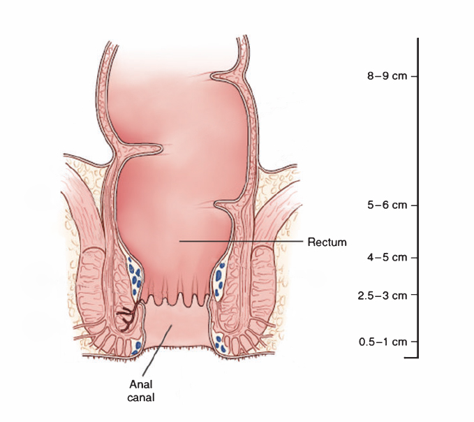 Interviu: Cancerul de col uterin este frecvent asimptomatic | printreoale.ro